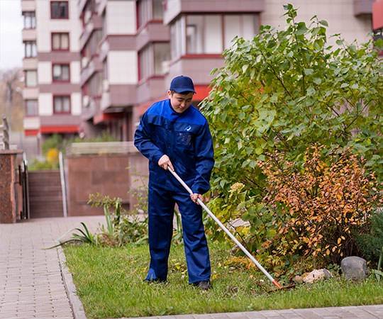 Уборка территории в Суздале и  Владимирской области